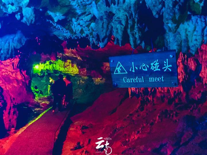 我的妈妈,计划杀了我